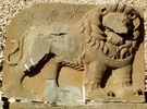 31 Ocak - 1 Şubat 2009